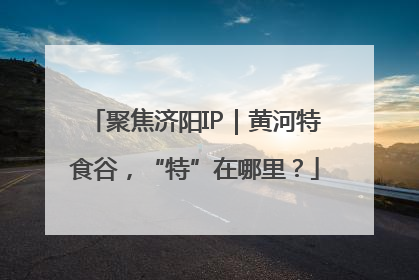 聚焦济阳IP｜黄河特食谷，“特”在哪里？