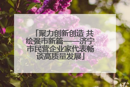 聚力创新创造 共绘强市新篇——济宁市民营企业家代表畅谈高质量发展