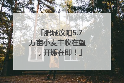 肥城汶阳5.7万亩小麦丰收在望，开镰在即！