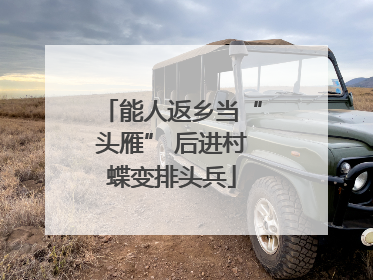 能人返乡当“头雁” 后进村蝶变排头兵