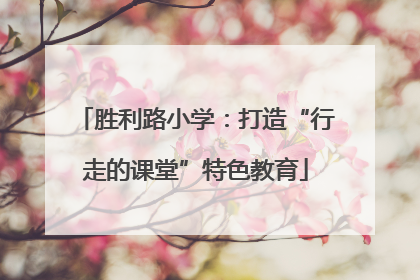 胜利路小学：打造“行走的课堂”特色教育
