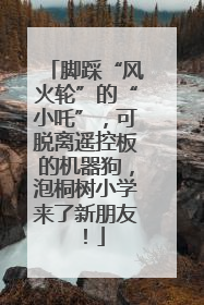 脚踩“风火轮”的“小吒”，可脱离遥控板的机器狗，泡桐树小学来了新朋友！