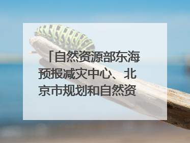 自然资源部东海预报减灾中心、北京市规划和自然资源委员会、广东省林业系统等正在招聘｜招聘信息