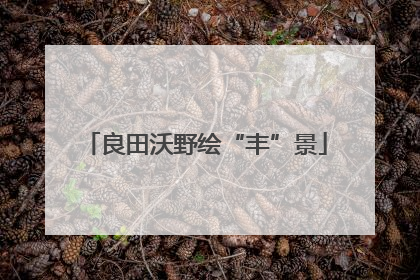 良田沃野绘“丰”景