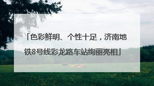色彩鲜明、个性十足，济南地铁8号线彩龙路车站绚丽亮相