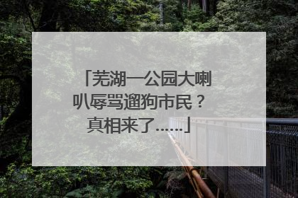 芜湖一公园大喇叭辱骂遛狗市民？真相来了……