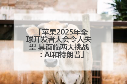 苹果2025年全球开发者大会令人失望 其面临两大挑战：AI和特朗普