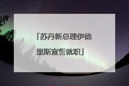 苏丹新总理伊德里斯宣誓就职