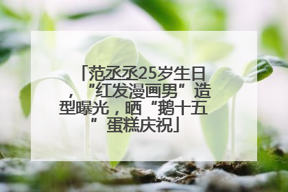 范丞丞25岁生日，“红发漫画男”造型曝光，晒“鹅十五”蛋糕庆祝