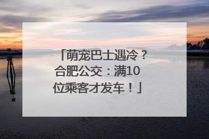 萌宠巴士遇冷？合肥公交：满10位乘客才发车！