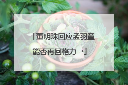 董明珠回应孟羽童能否再回格力→