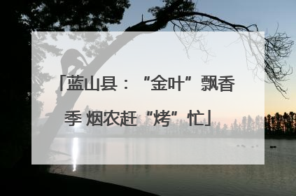 蓝山县：“金叶”飘香季 烟农赶“烤”忙