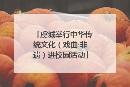 虞城举行中华传统文化（戏曲·非遗）进校园活动