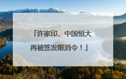 许家印、中国恒大再被签发限消令！