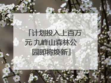 计划投入上百万元 九峰山森林公园即将焕新