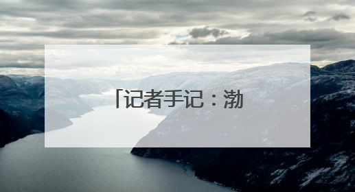 记者手记：渤海湾畔盐碱滩变身“新粮仓”