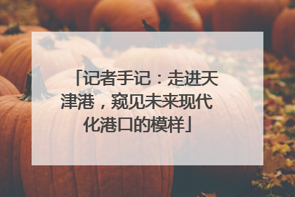 记者手记：走进天津港，窥见未来现代化港口的模样