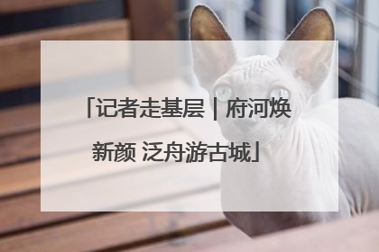 记者走基层｜府河焕新颜 泛舟游古城