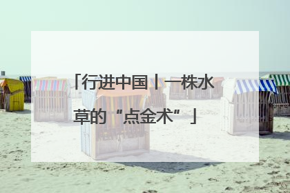 行进中国丨一株水草的“点金术”
