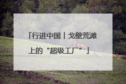 行进中国丨戈壁荒滩上的“超级工厂”