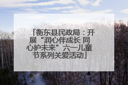 衡东县民政局：开展“润心伴成长 同心护未来”六一儿童节系列关爱活动