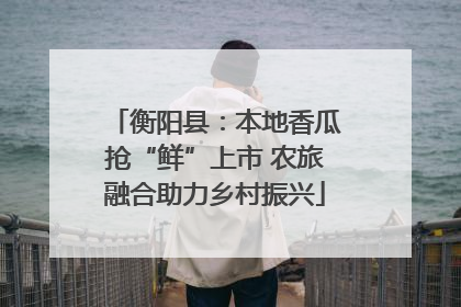 衡阳县：本地香瓜抢“鲜”上市 农旅融合助力乡村振兴