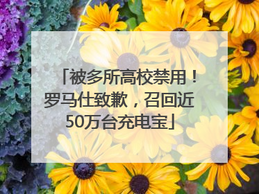 被多所高校禁用！罗马仕致歉，召回近50万台充电宝