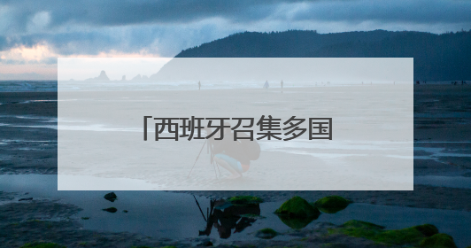 西班牙召集多国讨论加沙局势 呼吁制裁以色列