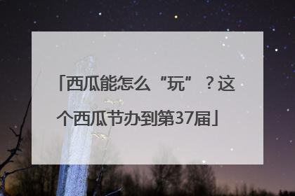 西瓜能怎么“玩”？这个西瓜节办到第37届
