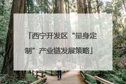 西宁开发区“量身定制”产业链发展策略