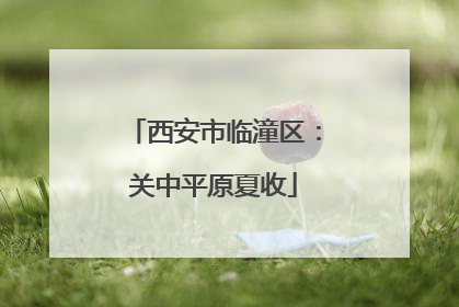 西安市临潼区：关中平原夏收