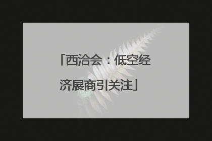西洽会：低空经济展商引关注