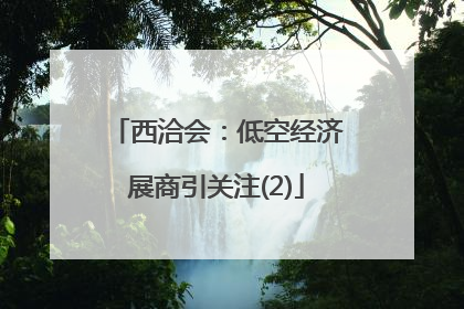 西洽会：低空经济展商引关注(2)