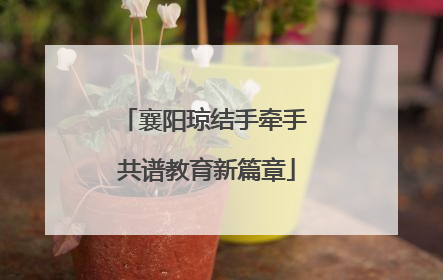 襄阳琼结手牵手 共谱教育新篇章