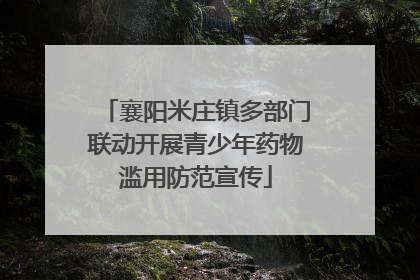 襄阳米庄镇多部门联动开展青少年药物滥用防范宣传