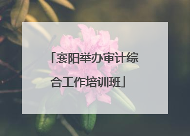 襄阳举办审计综合工作培训班