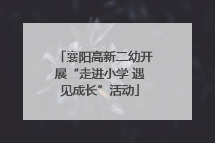 襄阳高新二幼开展“走进小学 遇见成长”活动