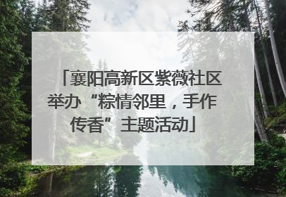 襄阳高新区紫薇社区举办“粽情邻里，手作传香”主题活动