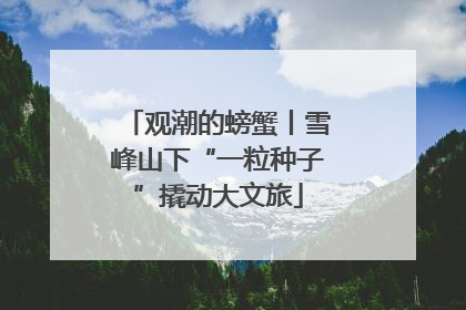 观潮的螃蟹丨雪峰山下“一粒种子”撬动大文旅