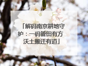 解码南京耕地守护：一码管田有方 沃土搬迁有道