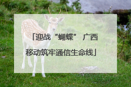迎战“蝴蝶” 广西移动筑牢通信生命线