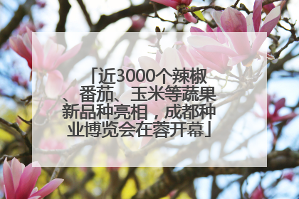 近3000个辣椒、番茄、玉米等蔬果新品种亮相，成都种业博览会在蓉开幕