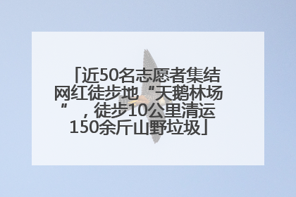 近50名志愿者集结网红徒步地“天鹅林场”，徒步10公里清运150余斤山野垃圾