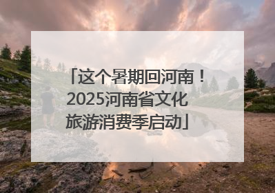 这个暑期回河南！2025河南省文化旅游消费季启动