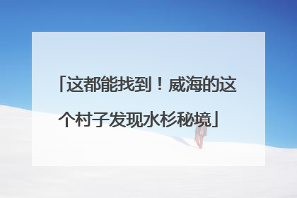 这都能找到！威海的这个村子发现水杉秘境