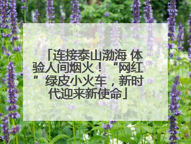 连接泰山渤海 体验人间烟火！“网红”绿皮小火车，新时代迎来新使命