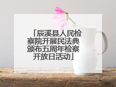辰溪县人民检察院开展民法典颁布五周年检察开放日活动
