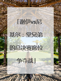 谢伊vs尼基尔：堂兄弟的总决赛席位争夺战