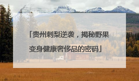 贵州刺梨逆袭，揭秘野果变身健康奢侈品的密码