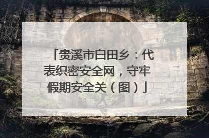 贵溪市白田乡：代表织密安全网，守牢假期安全关（图）